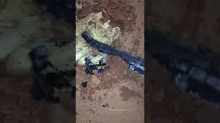 Explodindo macarrão à bolonhesa estragado