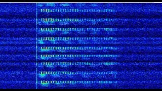 УВБ-76 (4625 kHz) (LIVE)