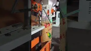 Grain bagging machine#bagging