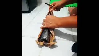 Mata dodos Sp777
