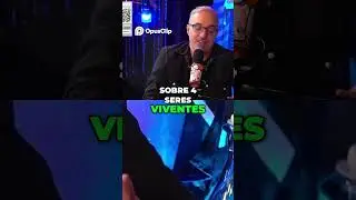 4 Seres Viventes  Le&atilde;o, &Aacute;guia, Touro e Homem Explicados