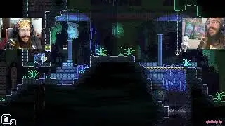 Animal Well #11