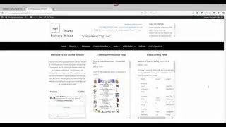 How the website displays informaton