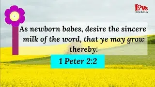 Growing In Jesus   Accompaniment