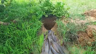 Smart Man Make Easy Deep Hole Fish Trap To Catch A Lot Of Fish - Electric Fan Guard Deep Hole Trap-