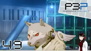 Persona 3 Portable FeMC Route 100% Playthrough | Part 49 | : Walking the Dog