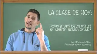 LOS NIVELES DE NUESTRA ESCUELA ONLINE - APRENDE A PATINAR DESDE CERO CON EFICACIA.