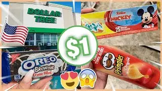 DOLLAR TREE LOTADA DE COISAS! 😱😍 FAZENDO COMPRAS NA LOJA DE UM DÓLAR - DOLLAR TREE