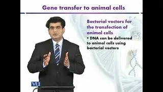 Bacterial Vectors for the Transfection of Animal Cells | Biotechnology | BIO5101_Topic152