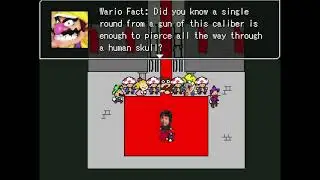 Vinesauce - Wario Fact
