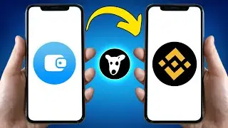How To Send Dogs From Telegram Wallet To Binance