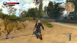The Witcher 3: Epic Forktail fight lvl 4 VS 14 hard difficulty.