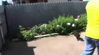Двор 10