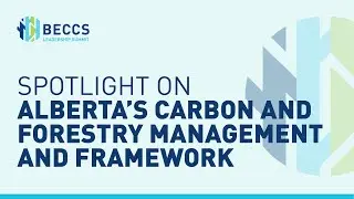 BECCS Leadership Summit: Spotlight on Alberta&rsquo;s Carbon and Forest Management and Framework