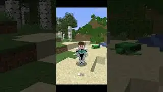 The Greatest Minecraft SpeedRun...
