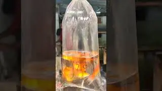 gold fish on roadside shop for cheap price from 10rs #kolathur #goldfish #fish #aquarium #babyfish