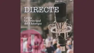 Amor d'avies (Directe)