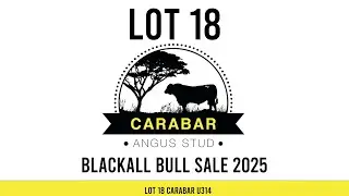 Lot 18 Carabar U314