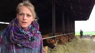 Bedrijfsvoering familie Bokma (2017)