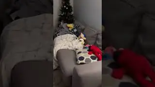 Jeffy and Junior puppets try to survive The Purge part 2