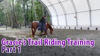 Assessing My Arabian Horse To Ride - Gracie's Trail Riding Training Series Part 1
