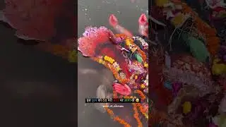 Maa chali visarjan me 🥺 #durga #visarjan #navratri2024 #maakali #madurga #jabalpur #badikalima
