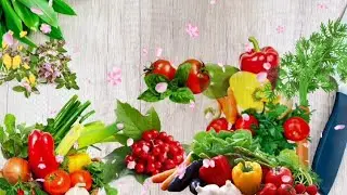 Cooking Intro Animation / FS4 NP #Cooking_intro #food #kitchen