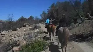 Rustler's Roost  Ranch