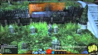 Guild Wars 2 Daily: Sex Changing Laggy Healers