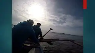 Whale shark swimming at Oslob, Cebu, Philippines'2020, A life time experience