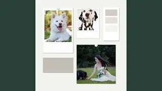 Background for Dreaming Pooches