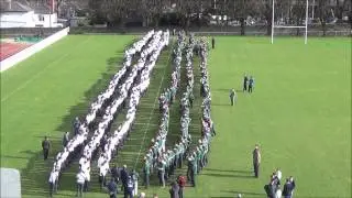 Goal-Aidlink world's largest scrum