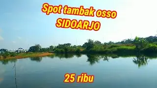Spot E Joss..!!! Превосходство - это экстремально 25 тысяч платежей // Рыбалка в пруду Оссо, Сидо...