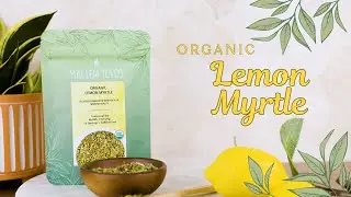 Lemon Myrtle Tea 🍋 | Tea of the Week