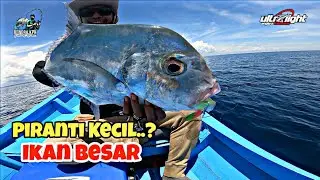Relix Capung 1-3lb ft. Shimano Vanquish C3000 || Extreme Ultralight Jigging - Pesta Strike