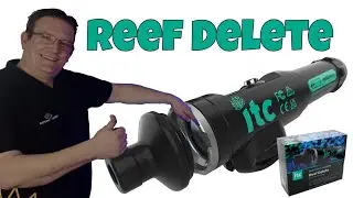 💦 Der ITC Reef Delete im Test 💦 Kommt, wir schauen uns den mal an  💦