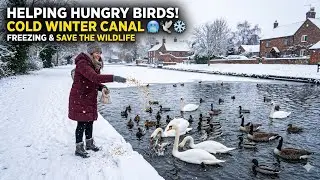 #video #amazing #quotes #relaxing #walking #freetime #freezing #snow #icc 