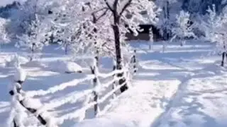 सभी भाई और बहनो को राम राम जी जय माता दी 🙏🙏