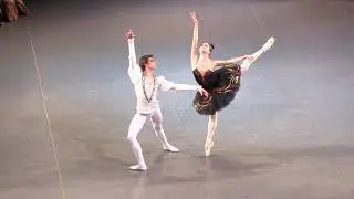 Ekaterina Borchenko & Victor Lebedev - Black Swan