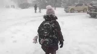 Walking Home In the Snow