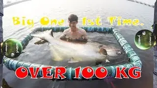 Over 100 KG Giant Cat Fish - Bait Reel + Spinning Rod -  [ New Bungsamran ]