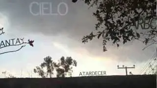 TRACKEO
