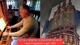 GORGEOUS PRINCIPAL 8' [Swart-Hagerbeer organ] on of the oldest organs in 🇳🇱
