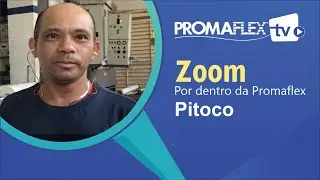 ZOOM com Pitoco