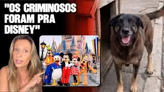 CASO ORELHA: LUISA MELL ATUALIZA DETALHES DA INVESTIGAÇÃO