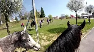 Čazma