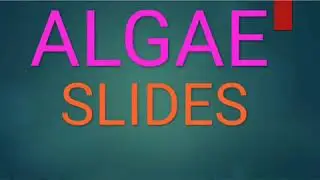 Algae slides/ Bsc 1st year