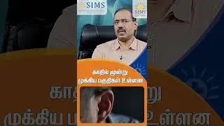 Three Important Parts of the Ear Explained | Hello Doctor