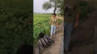 nalayak olad #hindicomedy #comdeyvideo #comedy #funnyvideos #villagelife #desicomedy