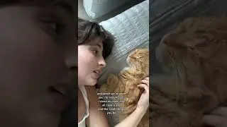 those eyes by new west - cover